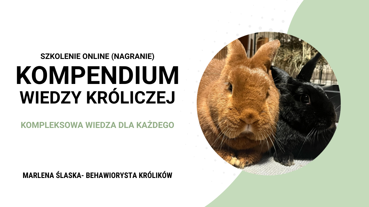 Kurs Kompendium Baner